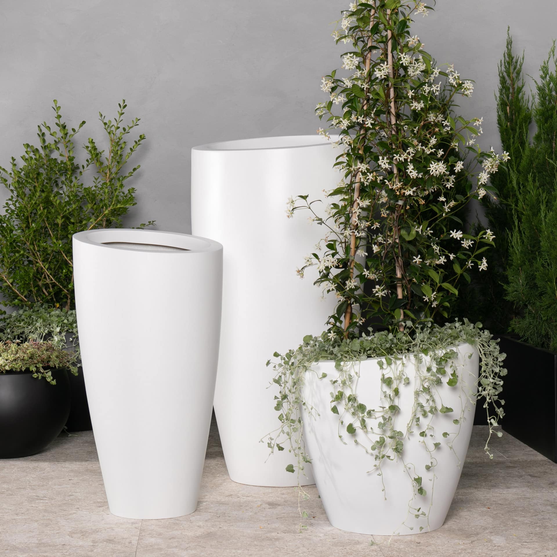 Glen Iris Angled Vase | Just Add Plants