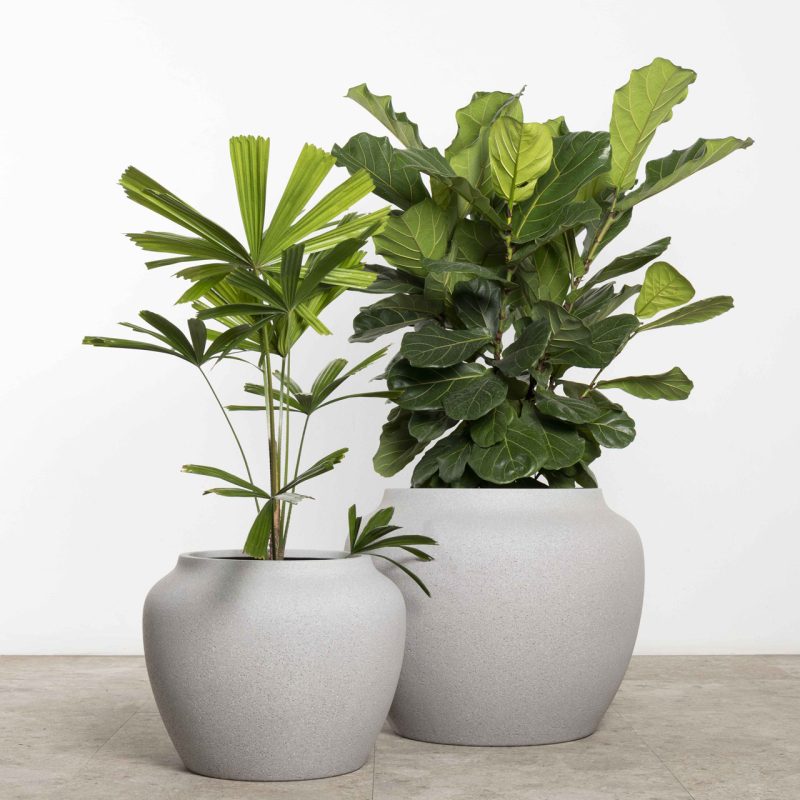 Corsica Urn - Image 4
