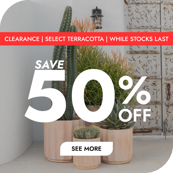 Earthenware Collection - 50% Off Clearance