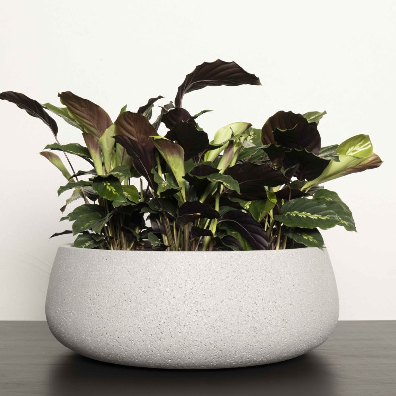 Gran Canaria Table Bowl - Image 4