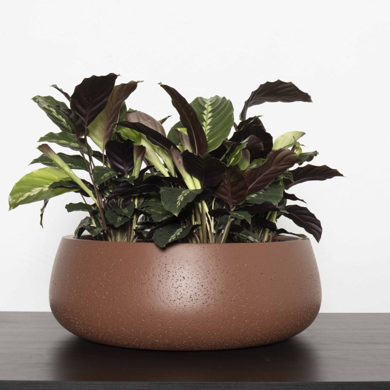 Gran Canaria Table Bowl - Image 3