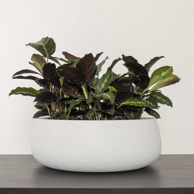 Gran Canaria Table Bowl - Image 2