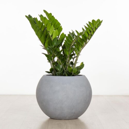 Moggill Sphere | Just Add Plants