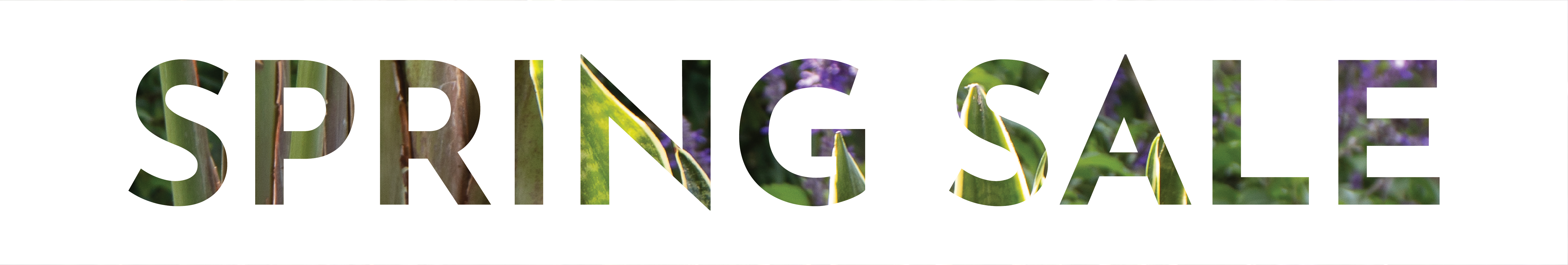 Spring Sale